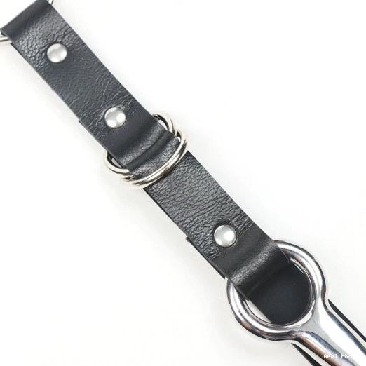 Anal Hooks Kinky Hook EverydayUse 5853 Collar Leash Anal and with 0829